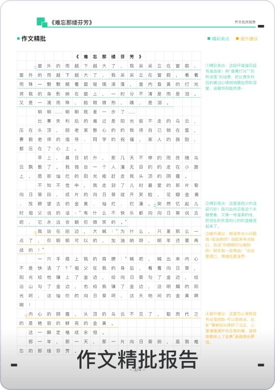 作文精批报告