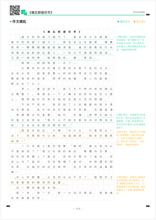 作文精批报告能力分析